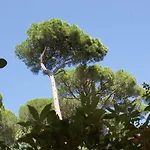 Hotel Les Jardins De 3*