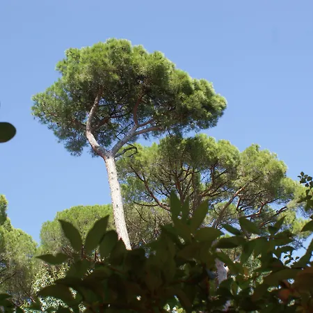 호텔 Les Jardins De 3*