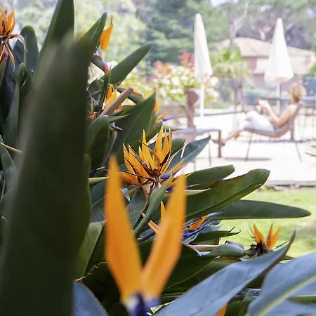 Les Jardins De Szálloda Sainte-Maxime