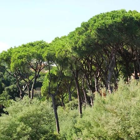 Les Jardins De